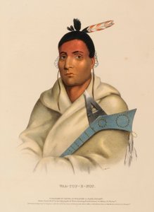 WAA-TOP-E-NOT., z Historii plemion indiańskich Ameryki Północnej autorstwa Charles Bird King
