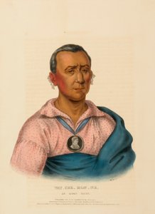 WAT-CHE-MON-NE, WÓDZ IOWAY, z Historii plemion indiańskich Ameryki Północnej autorstwa Charles Bird King
