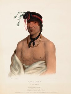 WESH-CUBB. A CHIPPEWAY CHIEF., Z historii plemion indiańskich Ameryki Północnej autorstwa Charles Bird King