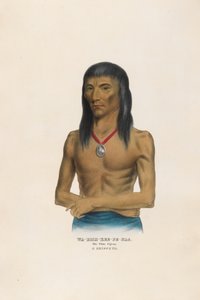  autorstwa Charles Bird King