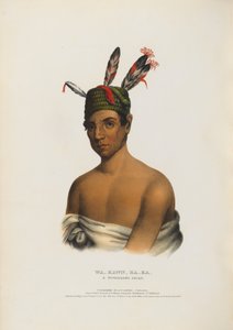 Wa-kawn-ha-ka - wódz Winnebago autorstwa Charles Bird King
