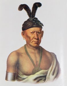 Wakechai lub „Przyczajony orzeł”, Sauk Chief, ilustracja z „The Indian Tribes of North America, Vol.2”, Thomasa L. McKenneya i Jamesa Halla, wyd. przez Johna Granta