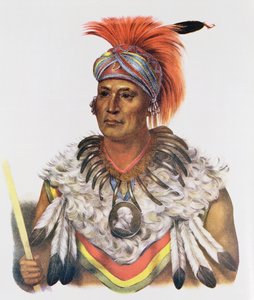 Wapella lub książę wódz lisów, 1837, ilustracja z „Indiańskich plemion Ameryki Północnej, tom 2”, Thomasa L. McKenneya i Jamesa Halla, wyd. przez Johna Granta