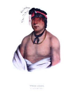 Weshcubb („Słodki”), szef Chippeway autorstwa Charles Bird King