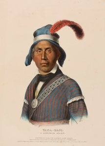 YAHA-HAJO. A SEMINOLE CHIEF., z Historii plemion indiańskich Ameryki Północnej autorstwa Charles Bird King