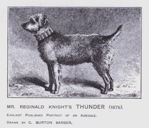 Piorun pana Reginalda Knighta autorstwa Charles Burton (after) Barber