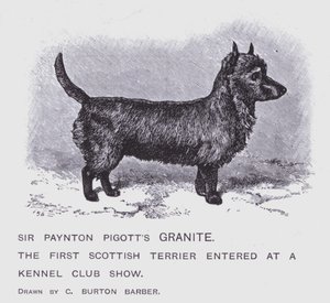 Granit Sir Payntona Pigtta (lito) autorstwa Charles Burton (after) Barber