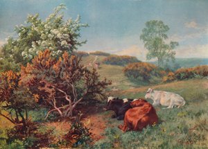 Krajobraz z bydłem w nower, Dorking, ok. 1899 r.