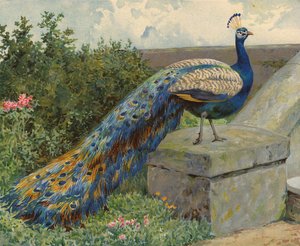 Paw (chromolitho)