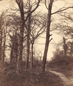 Zima 1855. autorstwa Charles Conway