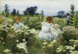 Wśród Polnych Kwiatów