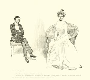Ilustracja do drabiny społecznej autorstwa Charles Dana Gibson