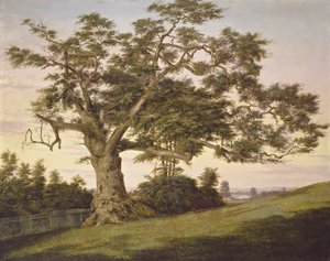 The Charter Oak autorstwa Charles de Wolf Brownell