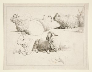 Owce na pastwisku autorstwa Charles Echard