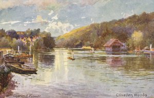 Tamiza: Cliveden Woods (kolorowa litografia) autorstwa Charles Edwin Flower