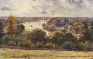 Tamiza: Widok z tarasu Richmond Hill (kolorowa litografia) autorstwa Charles Edwin Flower