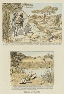 Sport w RPA (chromolitho)