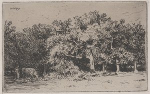 Zakątek lasu Fontainebleau (akwaforta) autorstwa Charles Emile Jacque