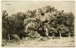 Część lasu Fontainebleau autorstwa Charles Emile Jacque