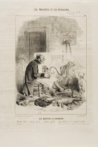 Szpital dla zwierząt (tablica 20) autorstwa Charles Emile Jacque