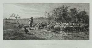 Przybycie na pole autorstwa Charles Emile Jacque