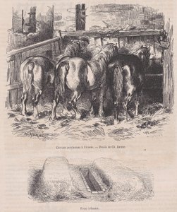 Konie perszeron w stajni, dół obornikowy, od Magasin Pittoresque, ok. 1900 r. 1852., ca. 1852. autorstwa Charles Emile Jacque