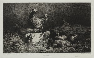 Kurczaki autorstwa Charles Emile Jacque