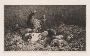 Kurczaki Poutes, 1867. autorstwa Charles Emile Jacque