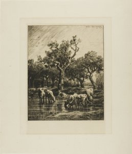 Krowy w wodopoju autorstwa Charles Emile Jacque