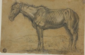 Wychudzony koń (recto); widok konia z przodu (verso) autorstwa Charles Emile Jacque