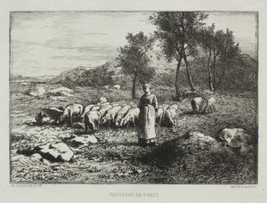 Stado świń autorstwa Charles Emile Jacque