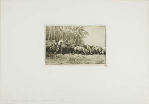 Stado świń wychodzące z lasu autorstwa Charles Emile Jacque