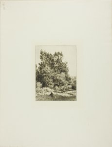 Krajobraz z pasterzem autorstwa Charles Emile Jacque