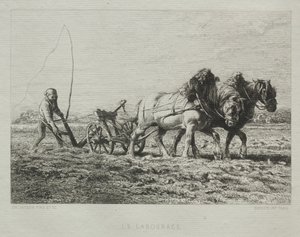 Orka autorstwa Charles Emile Jacque