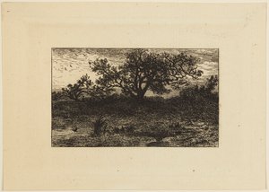Wydrukować autorstwa Charles Emile Jacque
