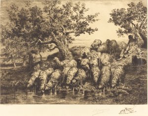 Owce w wodopoju autorstwa Charles Emile Jacque