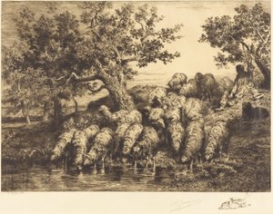 Owce przy wodopoju autorstwa Charles Emile Jacque