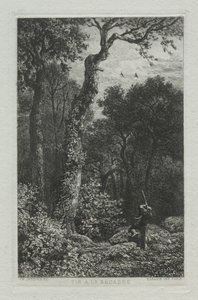 Strzelanie do słonka autorstwa Charles Emile Jacque