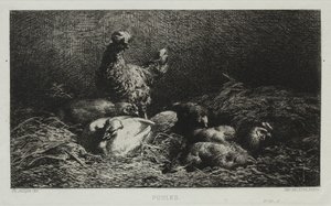 Kurczaki. autorstwa Charles Emile Jacque