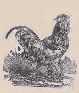 Kogut, ca. 1853. autorstwa Charles Emile Jacque