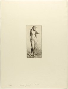 Młoda kobieta w kąpieli autorstwa Charles Emile Jacque
