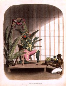 Hanuman, tablica 31 z „Rysunków orientalnych”, ryt. Thomas Medland (1755-1823), wyd. 1803 (akwatinta)