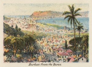 Republika Południowej Afryki: Durban z Berei (kolorowa litografia) autorstwa Charles Ernest Peers
