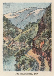 Republika Południowej Afryki: The Wilderness, CP (kolorowa litografia) autorstwa Charles Ernest Peers