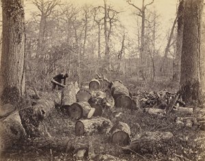 Las Fontainebleau autorstwa Charles Famin