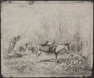 Osioł na polu autorstwa Charles Francois Daubigny