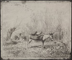 Osioł w polu, oryginalny nadruk 1862, wydrukowany w 1921 r. autorstwa Charles Francois Daubigny