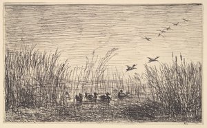 Kaczki na bagnach, [1862], przedruk 1921. autorstwa Charles Francois Daubigny