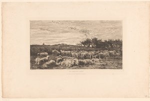 Krajobraz ze stadem owiec Parc à moutons, le matin (tytuł na obiekcie) autorstwa Charles Francois Daubigny