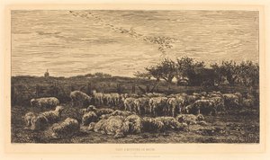 Duża owczarnia autorstwa Charles Francois Daubigny